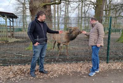 Rundgang durch Wei�ewarte mit dem Ortsb�rgermeister Marco Radke, Abstecher zum Wildpark Wei�ewarte